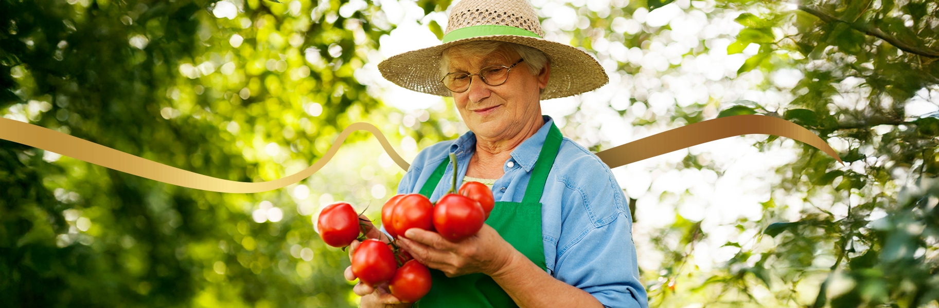 Sobre imagem início.png