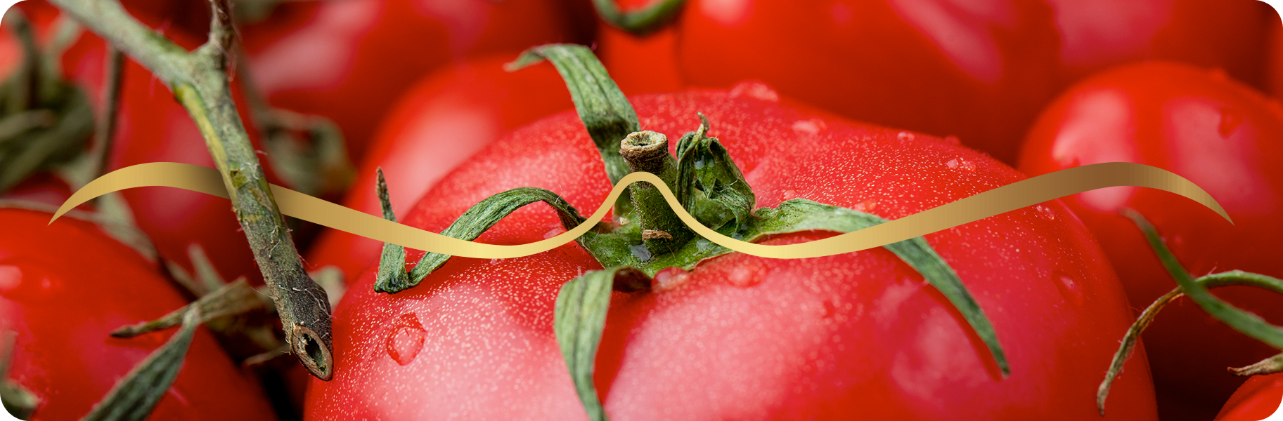 Banner Olé